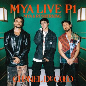 鉴黄师免费AV大片www
